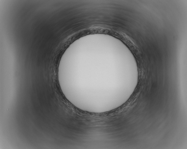 X0000111930821200908171235