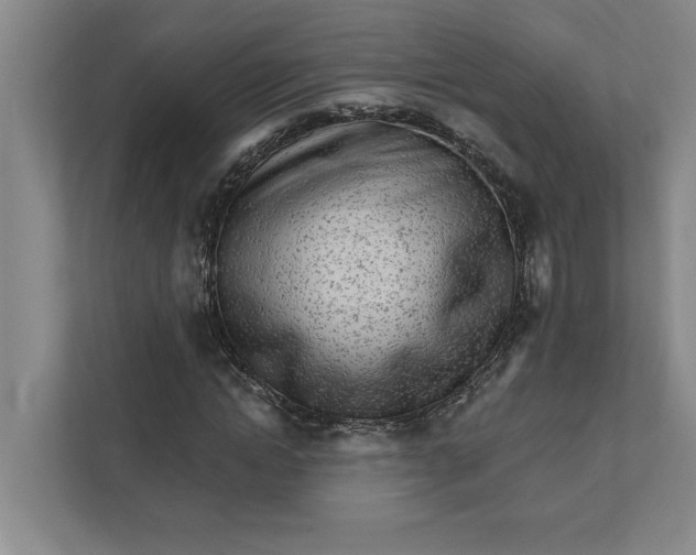 X0000111930822200908171235