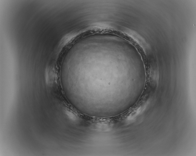 X0000111930823200908171235