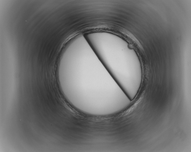 X0000111930826200908171235