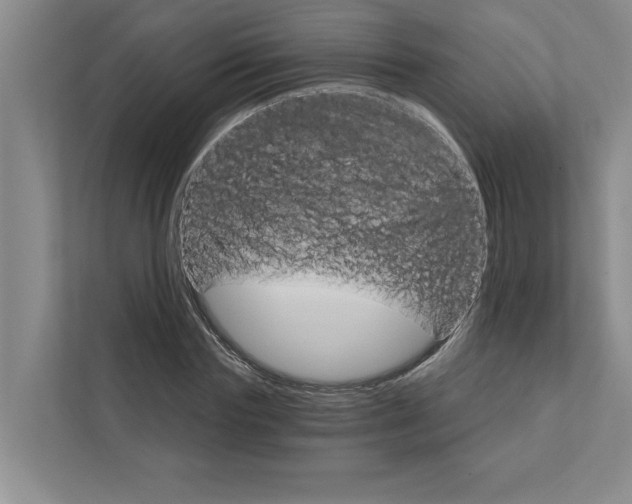 X0000111930827200908171235