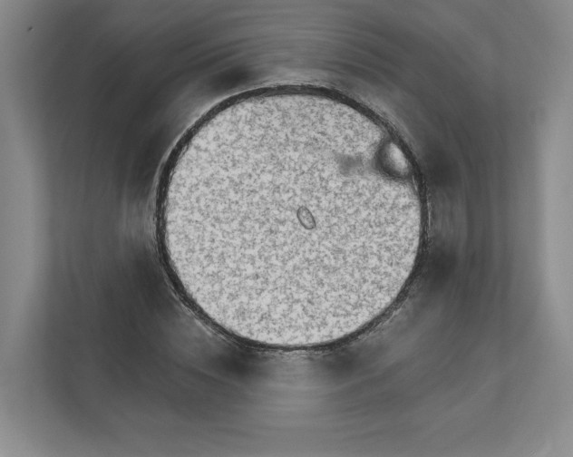 X0000111930828200908171235