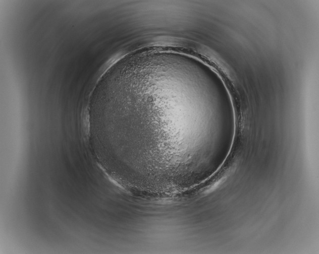 X0000111930829200908171235