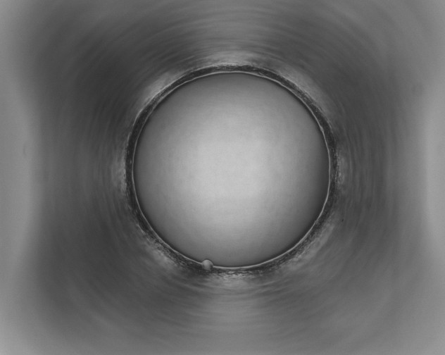 X0000111930834200908171235