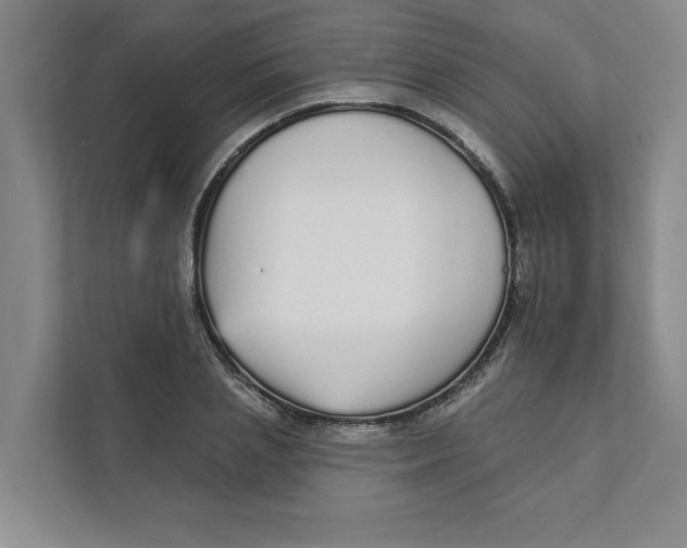 X0000111930837200908171235