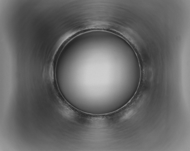 X0000111930838200908171235