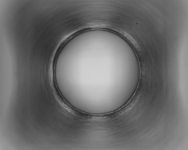 X0000111930840200908171235