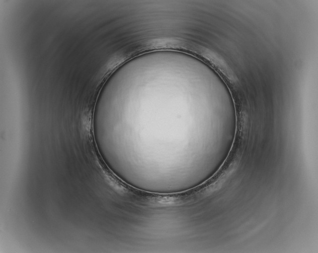 X0000111930841200908171235