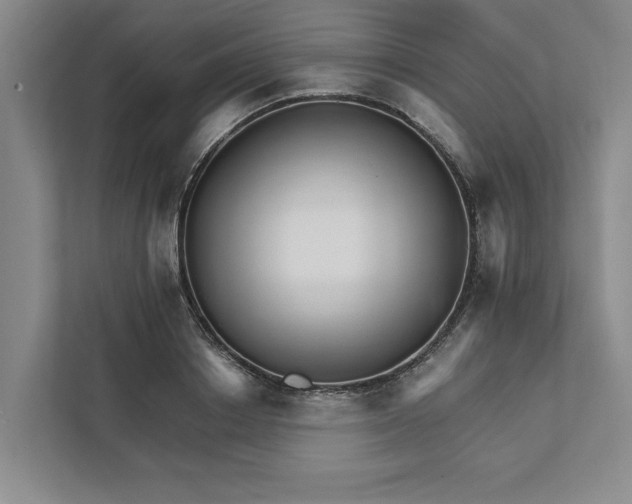 X0000111930842200908171235