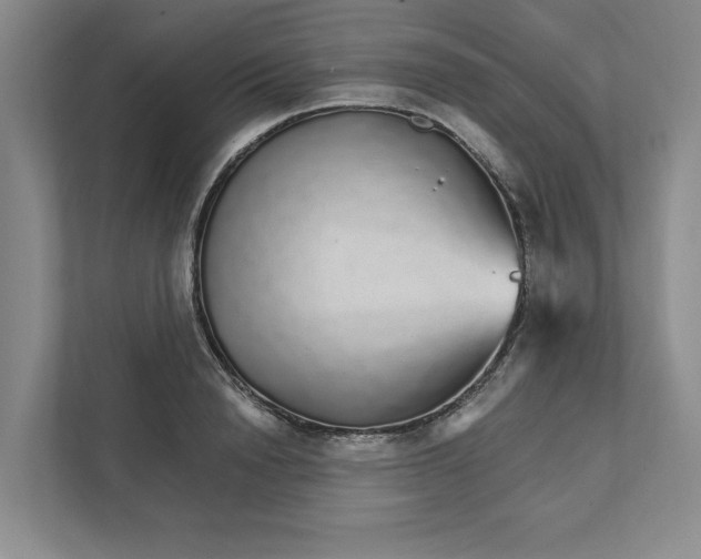 X0000111930846200908171235