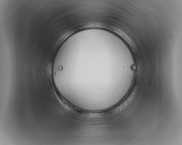 X0000111930849200908171235