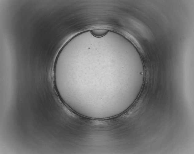 X0000111930852200908171235