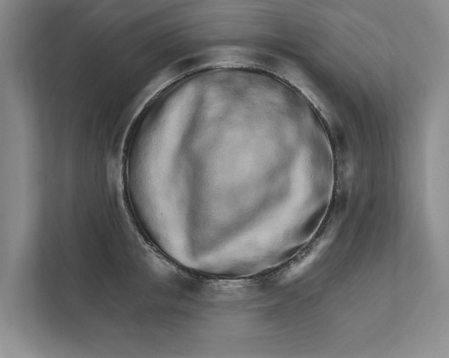 X0000111930853200908171235