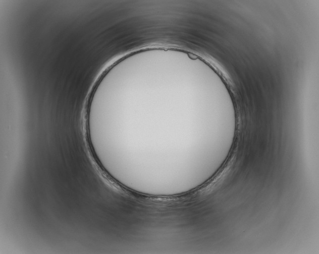 X0000111930854200908171235