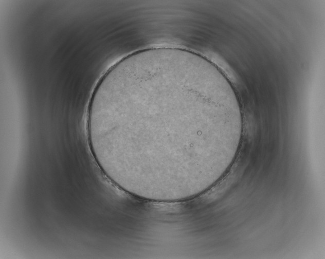 X0000111930856200908171235