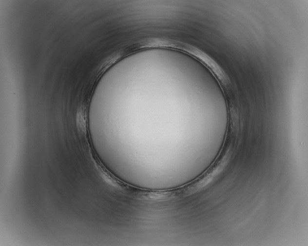 X0000111930857200908171235