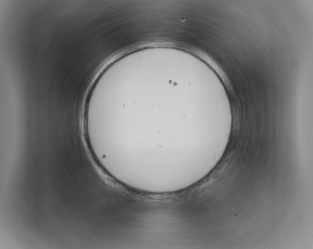 X0000111930861200908171235