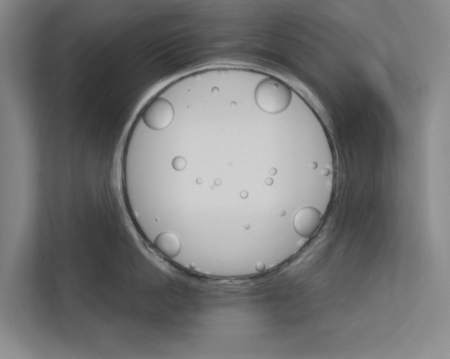 X0000111930862200908171235