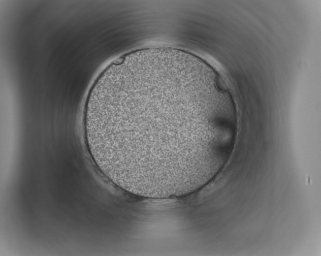 X0000111930864200908171235