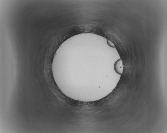 X0000111930865200908171234