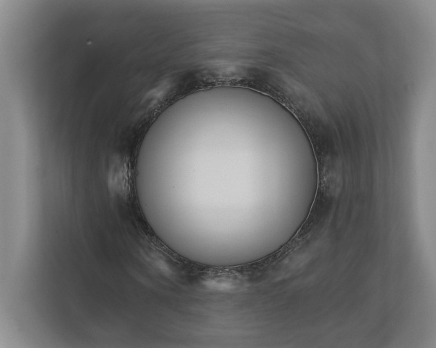 X0000111930866200908171234