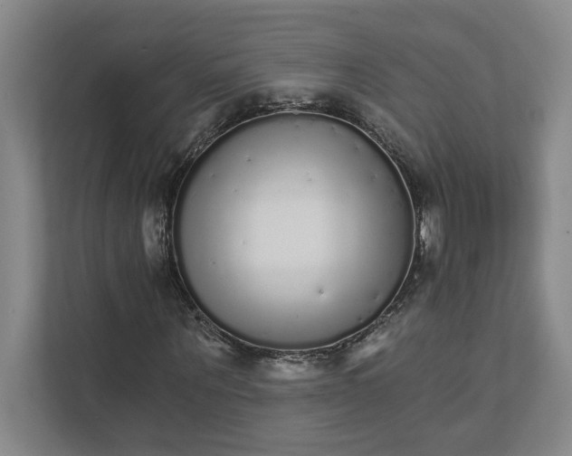 X0000111930867200908171234