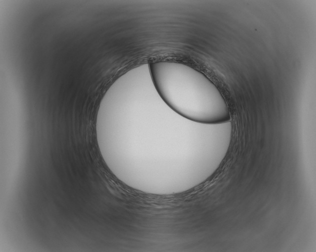 X0000111930868200908171234