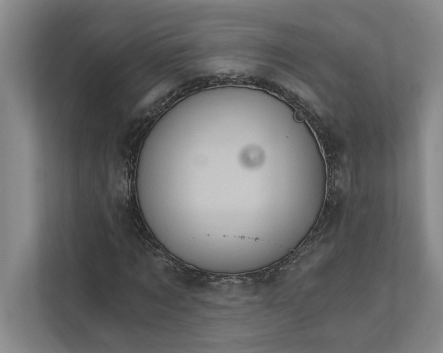 X0000111930869200908171234