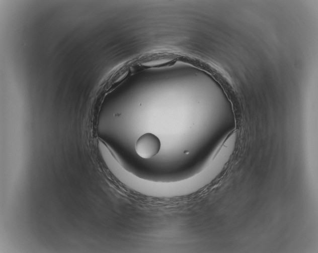 X0000111930872200908171234