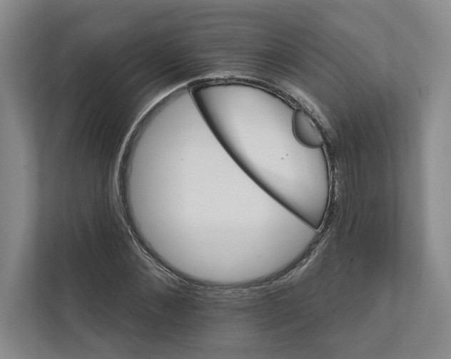 X0000111930876200908171234