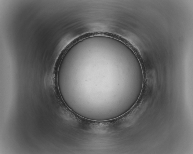 X0000111930879200908171234