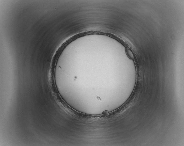 X0000111930880200908171234