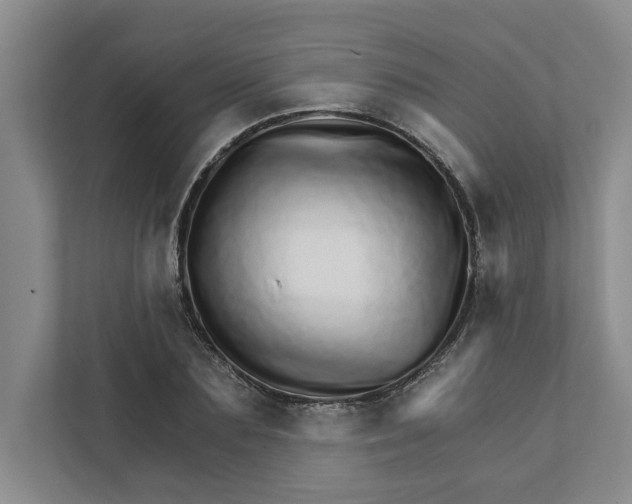 X0000111930883200908171234