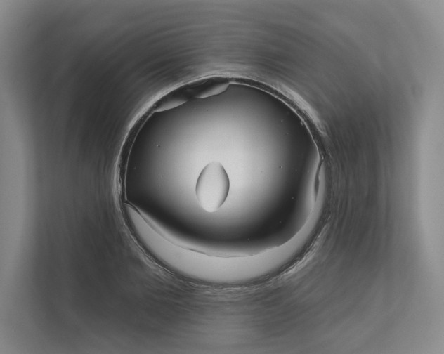 X0000111930885200908171234