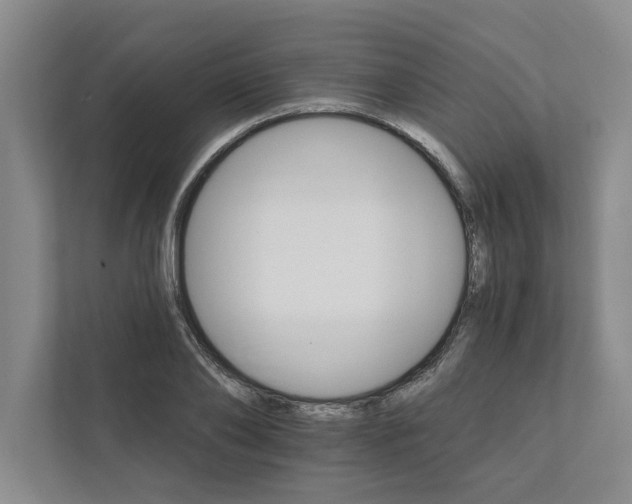 X0000111930886200908171234