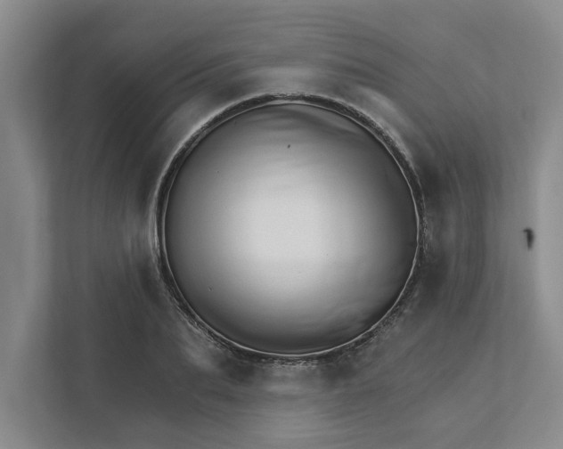 X0000111930887200908171234