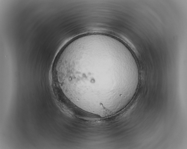 X0000111930891200908171234