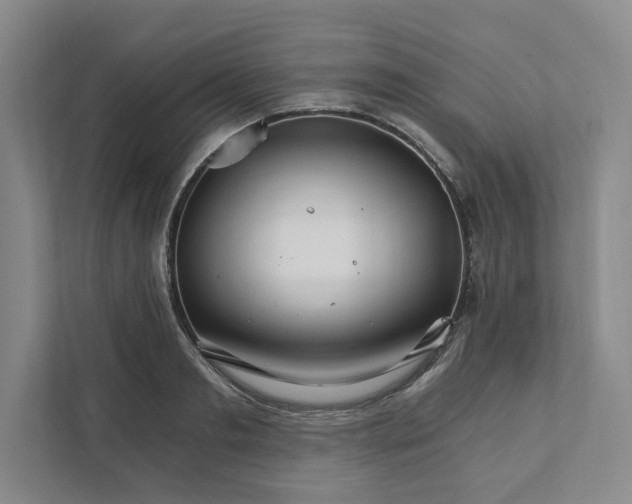 X0000111930893200908171234