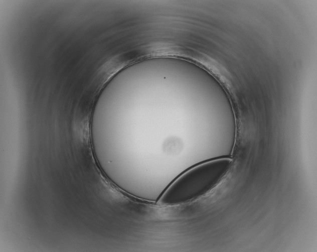 X0000111930897200908171234