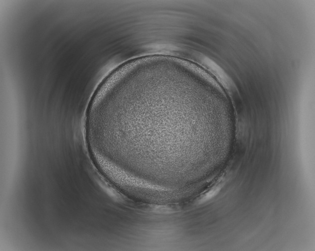 X0000111930899200908171234