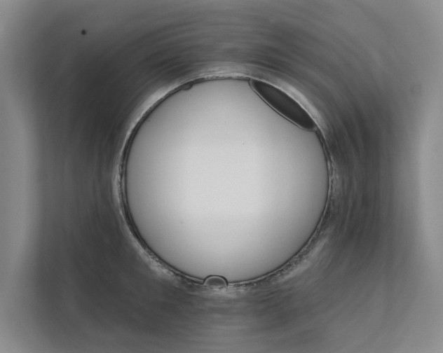 X0000111930901200908171234