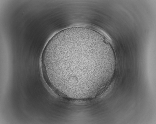 X0000111930907200908171234