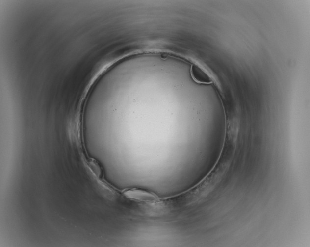 X0000111930911200908171234