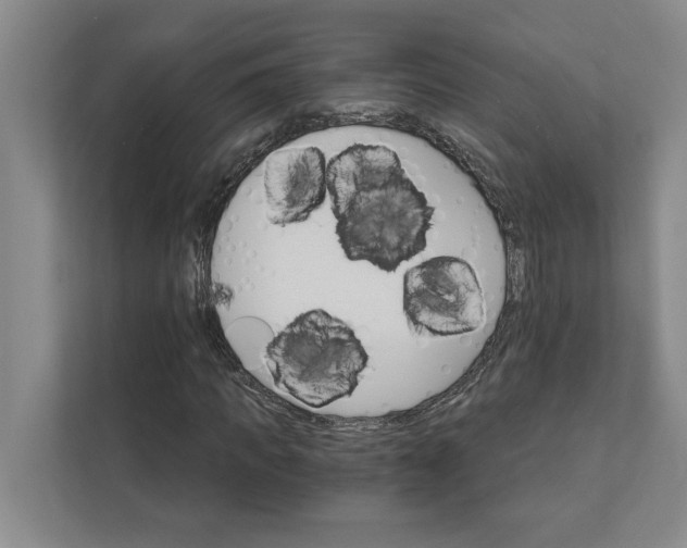 X0000111930917200908171233