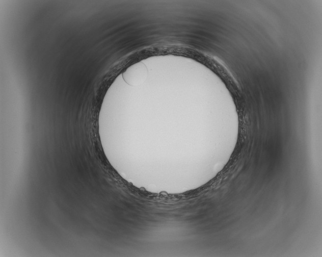 X0000111930919200908171233