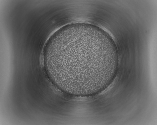 X0000111930925200908171233