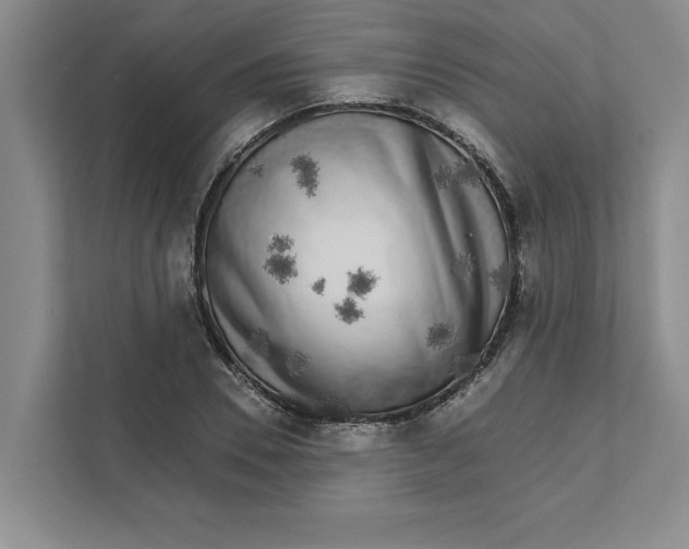 X0000111930930200908171233