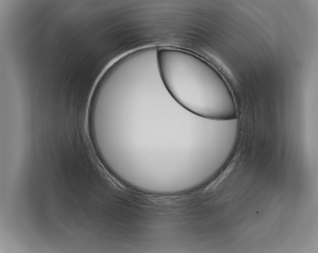 X0000111930932200908171233