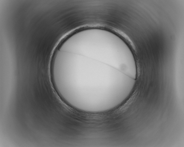 X0000111930935200908171233