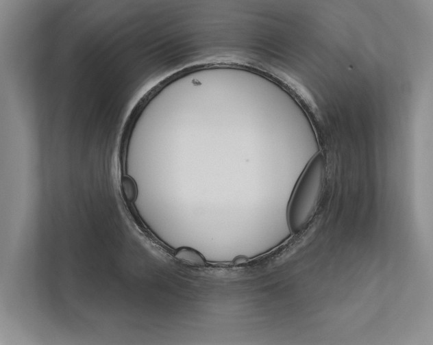 X0000111930936200908171233